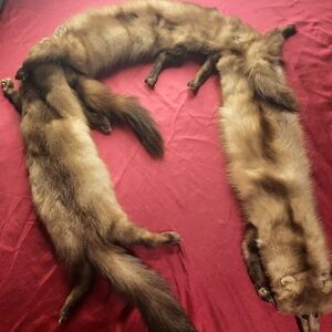 Luxurious Brown Fur Stoles